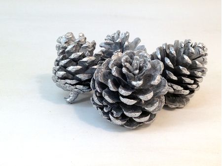 Indian Pine Cones (Silver)